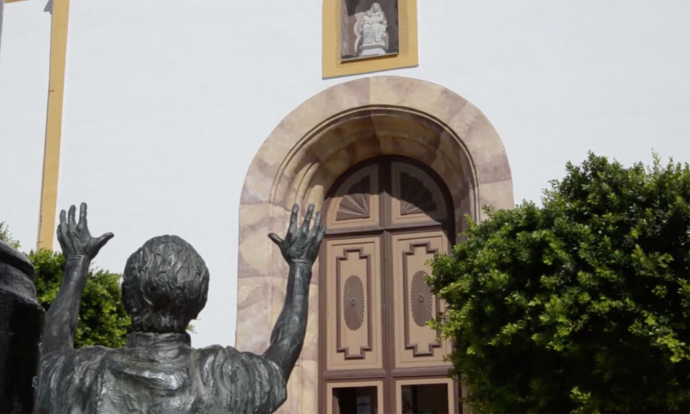 Peregrino2