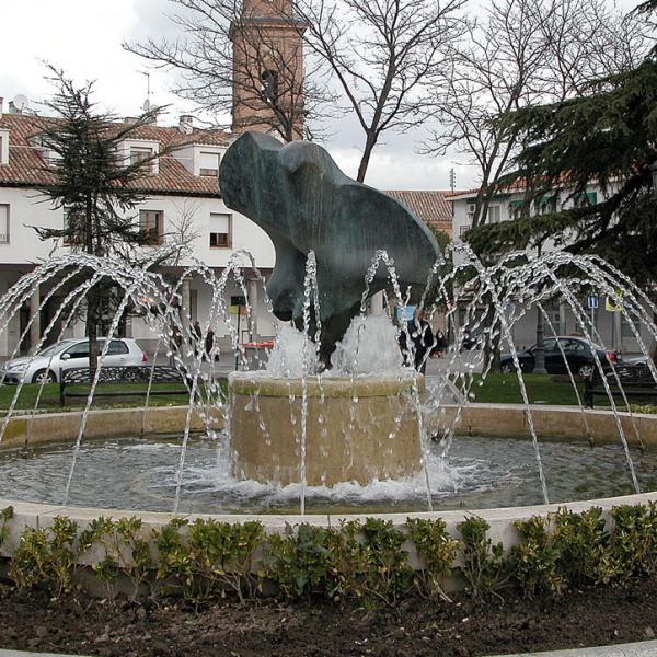 Un Halcón en la Fuente